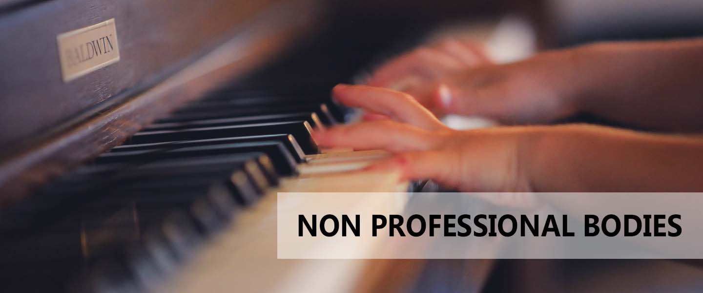 Non Professional Bodies