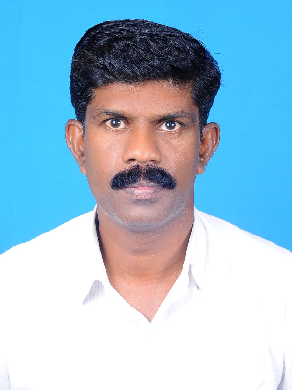 Director of Physical Education